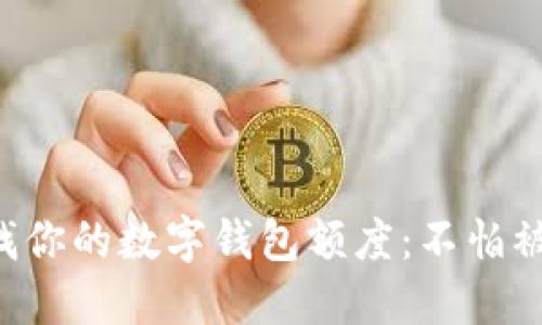 轻松查找你的数字钱包额度：不怕被“跑路”！