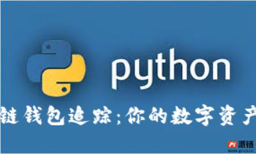 如何关闭区块链钱包追踪：你的数字资产隐私保护指南