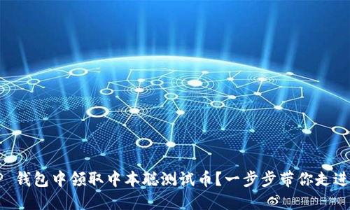如何在 TP 钱包中领取中本聪测试币？一步步带你走进加密世界！