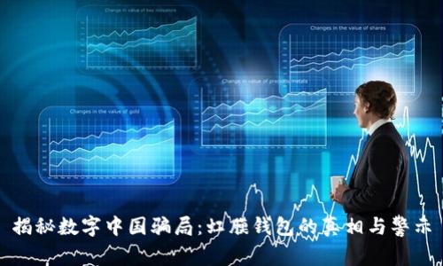 揭秘数字中国骗局：虹膜钱包的真相与警示