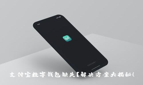 支付宝数字钱包缺失？解决方案大揭秘！