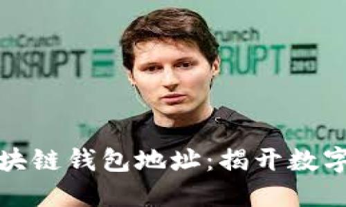 如何轻松查阅区块链钱包地址：揭开数字资产的神秘面纱