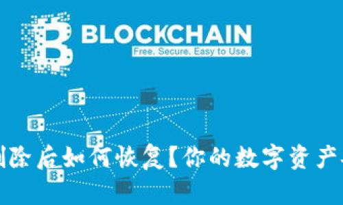 TP钱包删除后如何恢复？你的数字资产安全指南