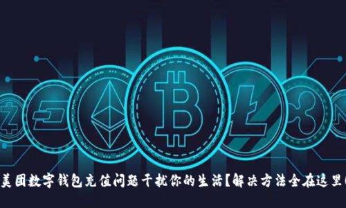 美团数字钱包充值问题干扰你的生活？解决方法全在这里！