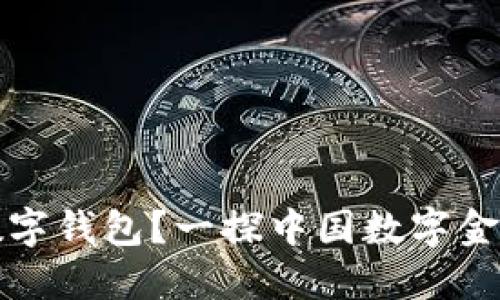 国人用什么数字钱包？一探中国数字金融的未来趋势
