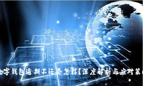 数字钱包逾期不还会怎样？深度解析与应对策略