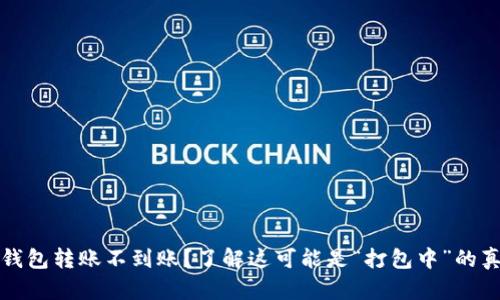 TP钱包转账不到账？了解这可能是“打包中”的真相