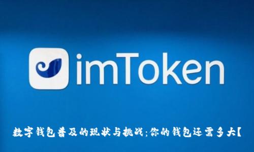 数字钱包普及的现状与挑战：你的钱包还需多大？