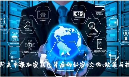 揭开俄罗斯未申报加密钱包背后的秘密：文化、政策与技术的交织