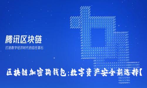 区块链加密狗钱包：数字资产安全新选择？