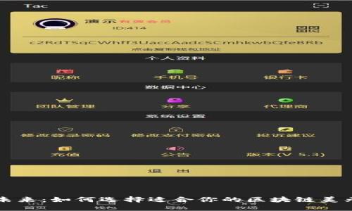 掌控未来：如何选择适合你的区块链美元钱包