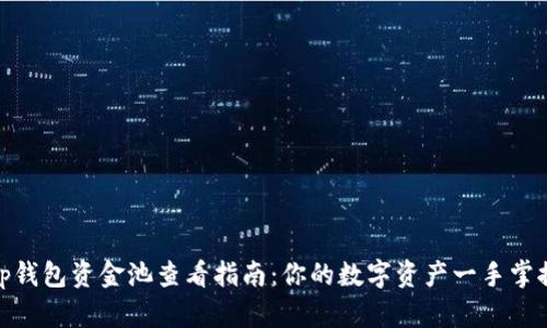 tp钱包资金池查看指南：你的数字资产一手掌握