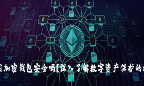 应用加密钱包安全吗？深入了解数字资产保护的秘密