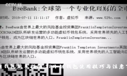 冷链钱包新手指南：TP冷链钱包使用技巧与注意事项