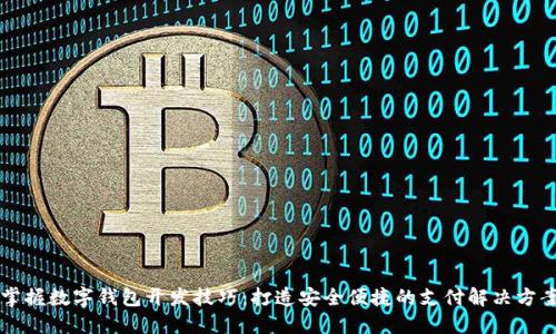 掌握数字钱包开发技巧：打造安全便捷的支付解决方案
