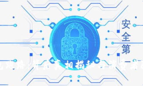 数字钱包跑路：背后真相揭秘与消费者防范指南