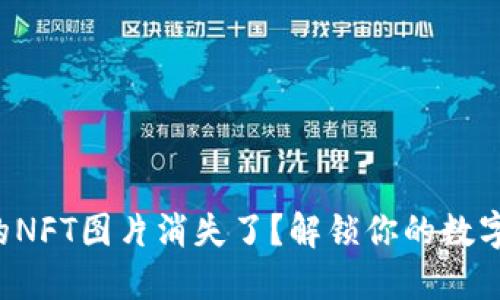 TP钱包中的NFT图片消失了？解锁你的数字资产之旅！