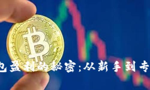 数字货币钱包盈利的秘密：从新手到专家的全攻略！