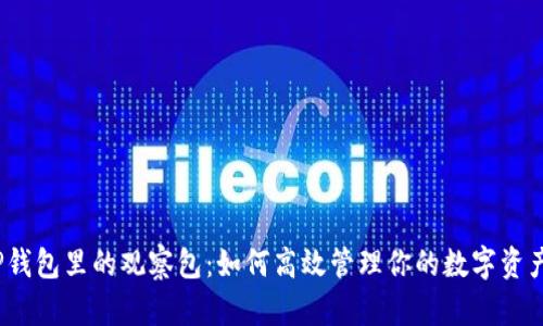 TP钱包里的观察包：如何高效管理你的数字资产？