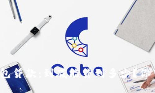 数字钱包贷款：到底能贷到多少？你了解吗？