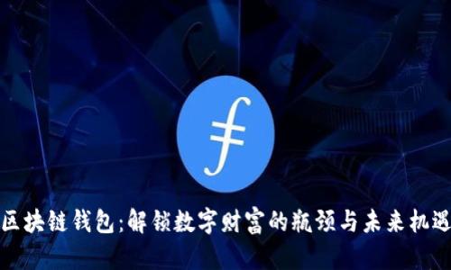 区块链钱包：解锁数字财富的瓶颈与未来机遇