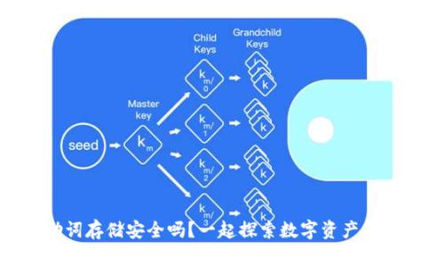 TP钱包助词存储安全吗？一起探索数字资产的保护之道