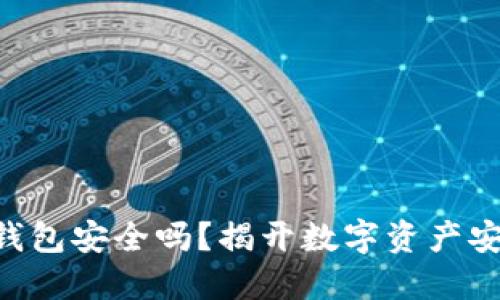 交易所的加密钱包安全吗？揭开数字资产安全的神秘面纱！