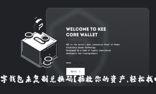 数字钱包未复制兑换码？拯救你的资产，轻松找回！