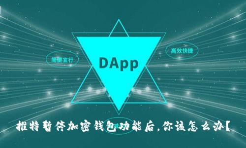推特暂停加密钱包功能后，你该怎么办？