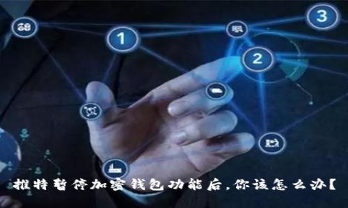 推特暂停加密钱包功能后，你该怎么办？