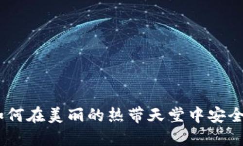 探索维尔京群岛：如何在美丽的热带天堂中安全管理你的加密钱包
