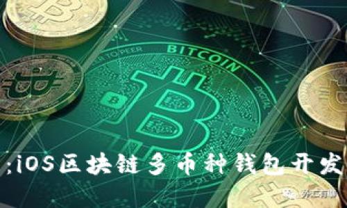 打造完美：iOS区块链多币种钱包开发的全攻略