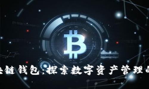 BCV区块链钱包：探索数字资产管理的新纪元