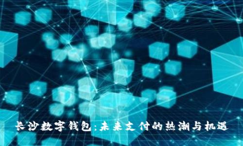 长沙数字钱包：未来支付的热潮与机遇